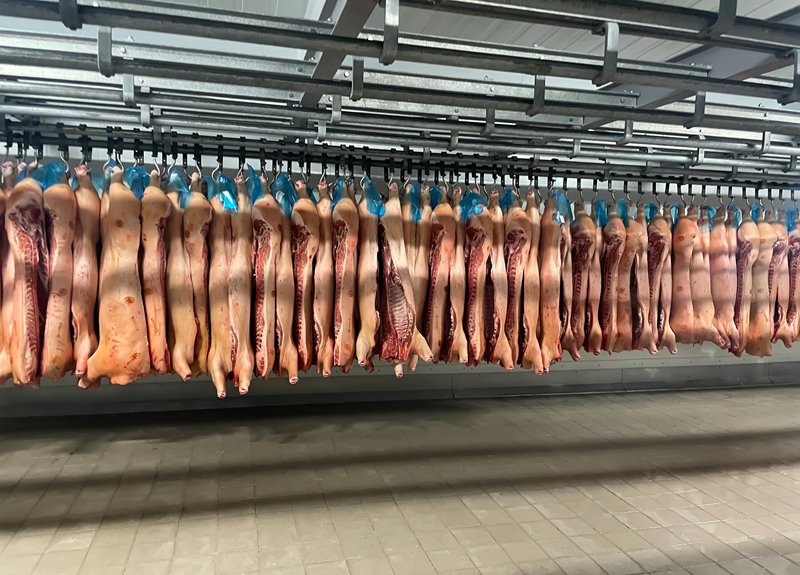 pulled pork fridge storage duration